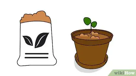 Image titled Grow Patchouli Step 9