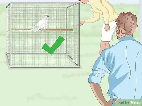 Image titled Choose a Cockatoo Step 5