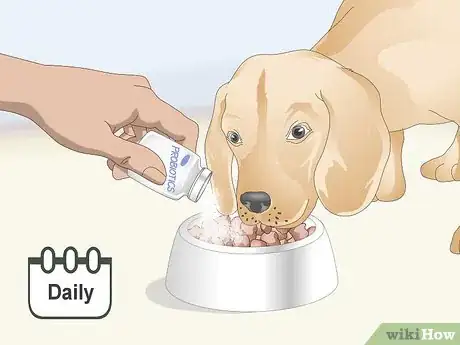 Image titled Treat Canine Tick Problems Step 10