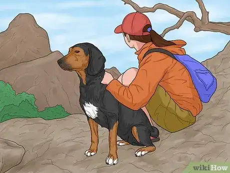 Image titled Choose a Dog‐Friendly Vacation Destination Step 1