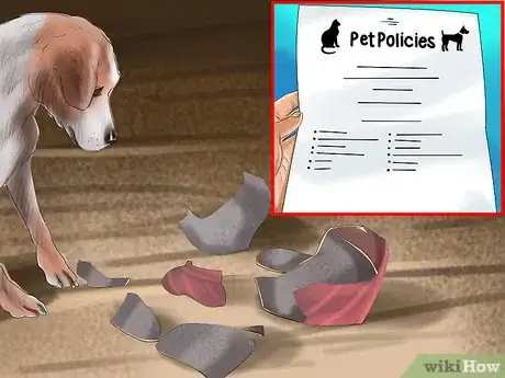 Image titled Keep a Dog or Cat Successfully While Living in an Apartment Step 3