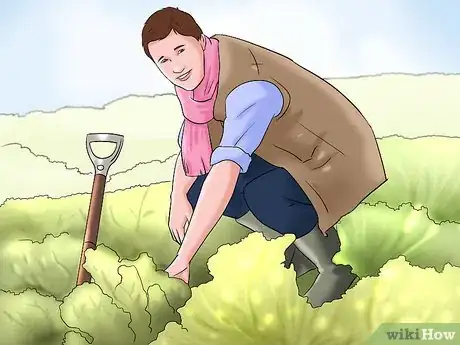 Image titled Lose Weight Gardening Step 9