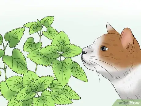 Image titled Choose Cat Treats Step 7