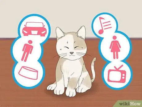 Image titled Find Homes for a Litter of Kittens Step 3