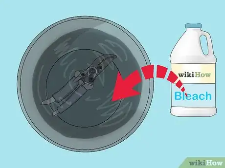 Image titled Prune a Mulberry Tree Step 1