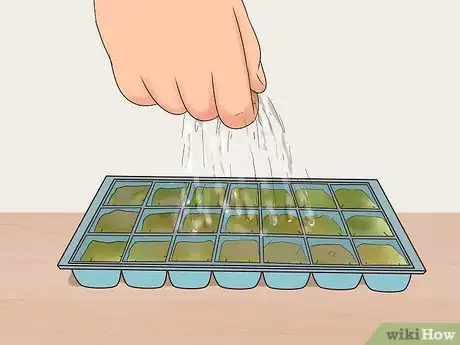 Image titled Grow Flowers from Seed Step 4