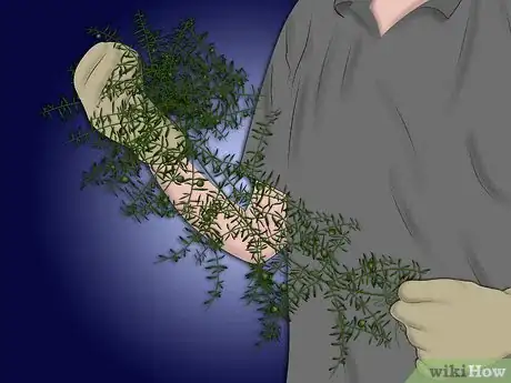 Image titled Plant a Sweet Shrub Step 11Bullet2