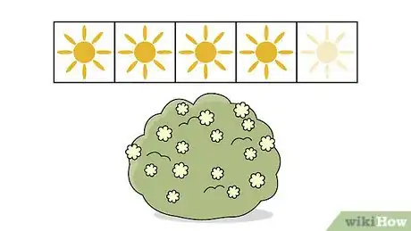 Image titled Plant Viburnum Step 1