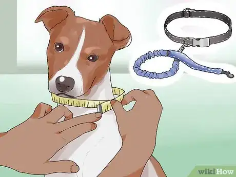 Image titled Have a Successful First Day with a New Dog Step 7