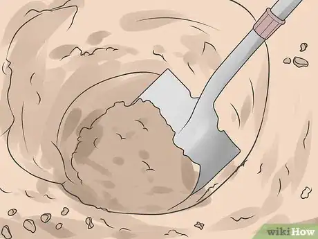 Image titled Grow Impatiens Step 6