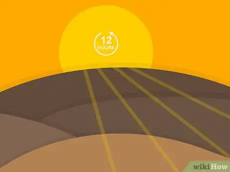 Image titled Grow Cumin Step 13