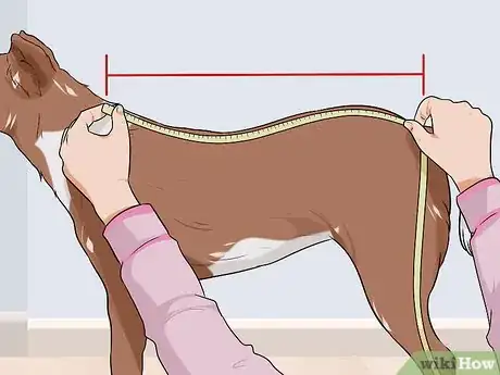 Image titled Dress Your Dog Step 2