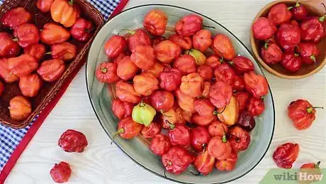 Image titled Make Habanero Pepper Mash Step 3
