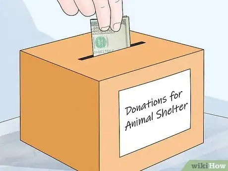 Image titled Help Homeless Animals Step 3