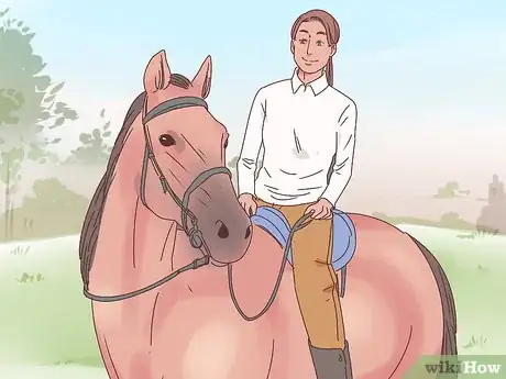 Image titled Choose Your Horse Step 8