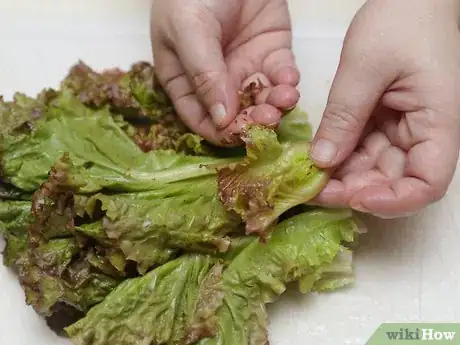 Image titled Braise Lettuce Step 7