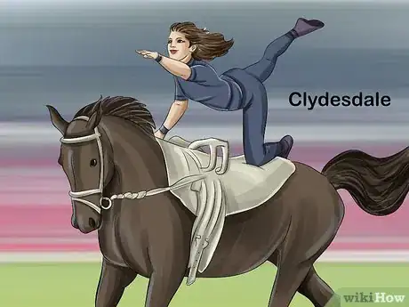 Image titled Choose the Right Breed of Horse for You Step 16
