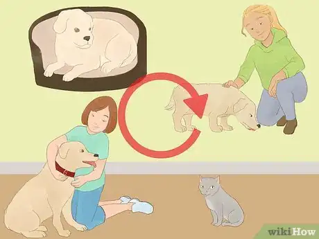 Image titled Catch Your Dog when They Run After Another Dog or Person Step 15