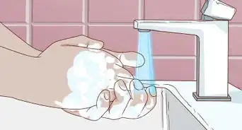 Diagnose and Treat Epizootic Catarrhal Enteritis in Ferrets