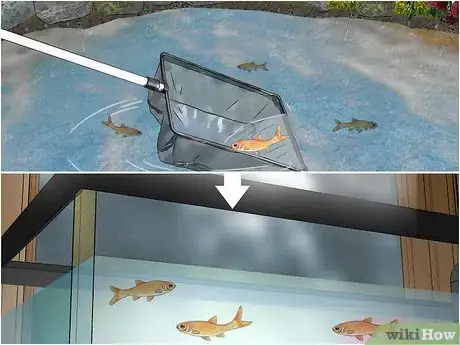 Image titled Measure Pond Water Temperature Step 13