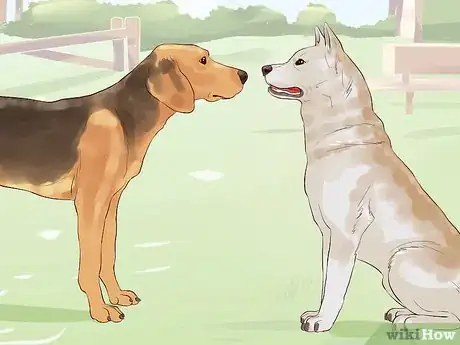 Image titled Get a Companion Dog for an Existing Dog Step 12