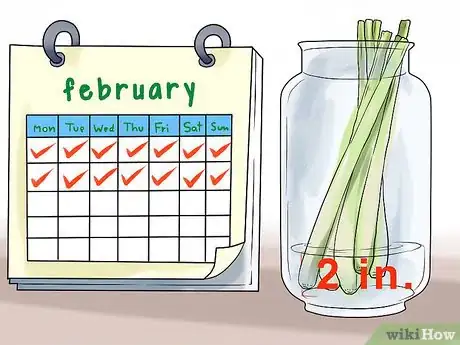 Image titled Cultivate Lemongrass Step 5