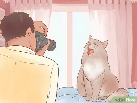 Image titled Take Action Photos of a Cat Step 18