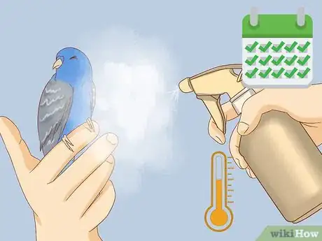 Image titled Stop Feather Plucking in Parakeets Step 8