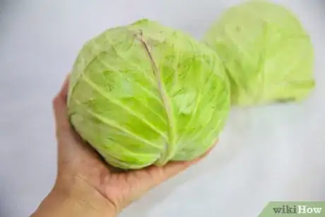 Image titled Select and Store Cabbage Step 6