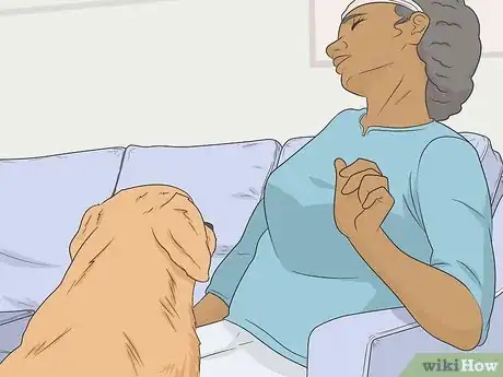 Image titled Train Seizure Alert Dogs Step 1