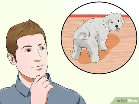 Image titled Diagnose Little White Shaker Syndrome in Maltese Step 8