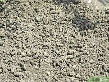 Image titled Grow Calendula Step 1