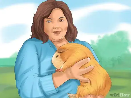 Image titled Choose a Pet Guinea Pig Step 1