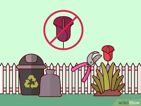 Image titled Get Calla Lilies to Flower Step 16