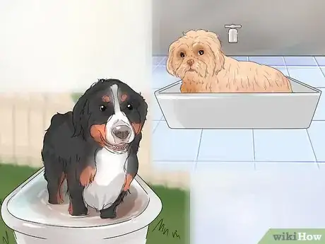 Image titled Groom a Thin Furred Dog Step 11