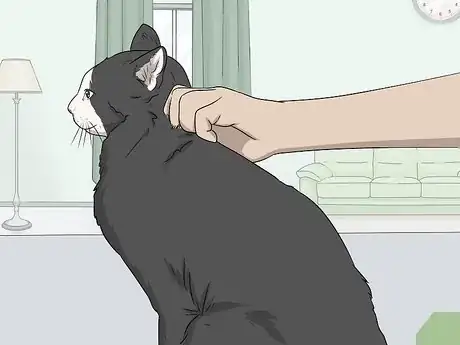 Image titled Soothe Your Cat With a Massage Step 8