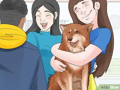 Image titled Identify a Finnish Lapphund Step 12