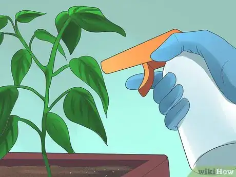 Image titled Grow Bell Peppers Step 17