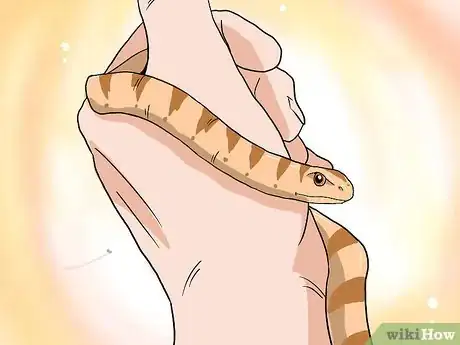 Image titled Choose Your First Pet Snake Step 11Bullet1