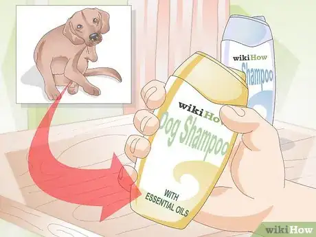 Image titled Shower a Puppy Step 2