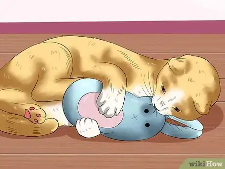 Image titled Amuse Cats Step 10