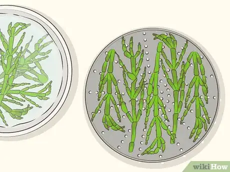 Image titled Cook Sea Asparagus Step 9