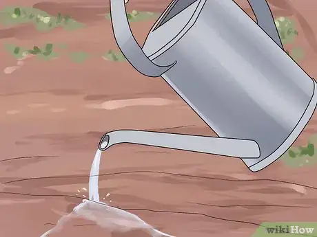 Image titled Care for a Weeping Cherry Tree Step 2