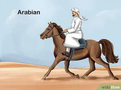 Image titled Choose the Right Breed of Horse for You Step 14