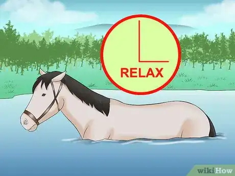 Image titled Train a Horse to Walk Through Water Step 9