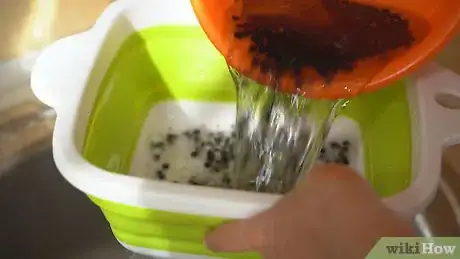 Image titled Dry Elderberries in the Oven Step 2