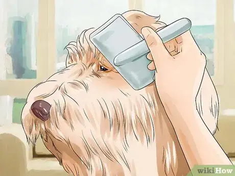 Image titled Brush a Long Haired Dog Step 6