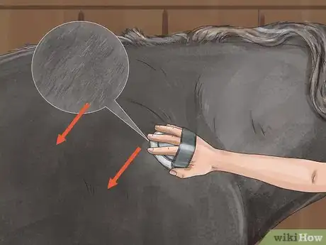 Image titled Brush a Horse Step 4
