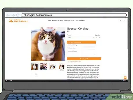 Image titled Help Homeless Animals Step 4