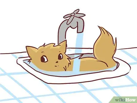 Image titled Bathe a British Shorthair Step 6